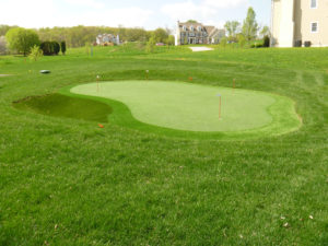 Synthetic artificial turf putting green